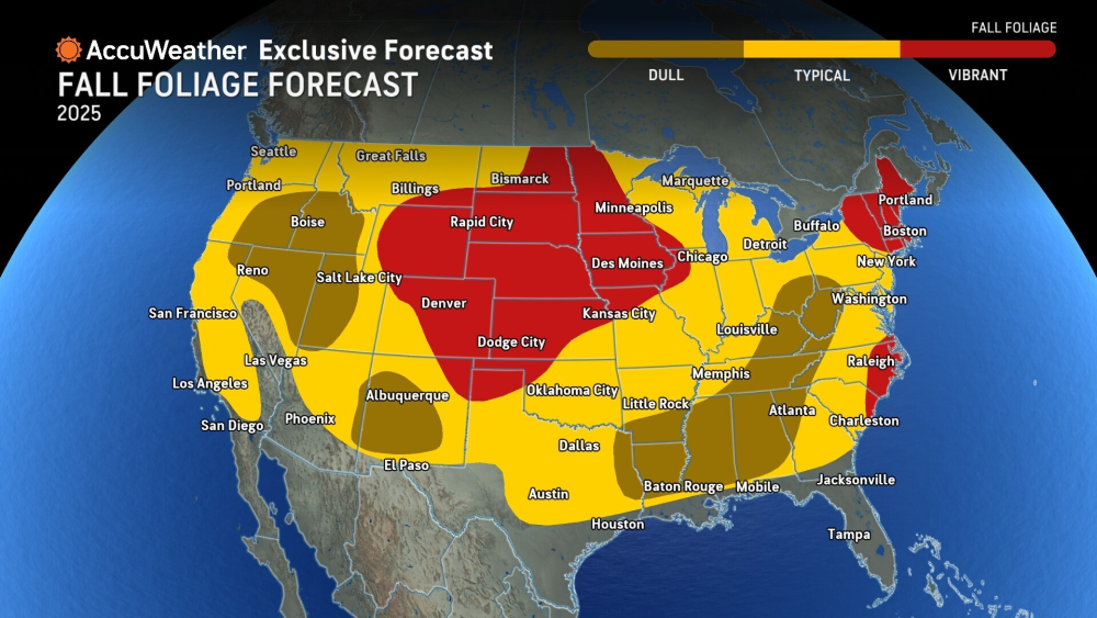 fall foliage forecast